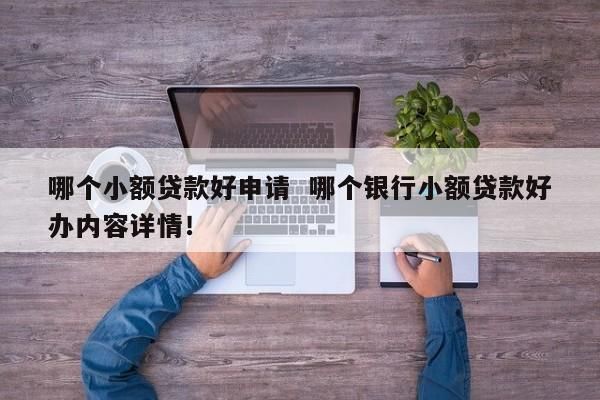 哪家银行可以办个人小额贷款 哪家银行可以申请小额贷款