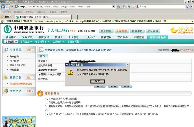农业银行网上登录 农业银行网上登录密码之后,页面显示无法显示此页