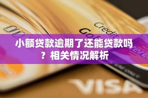 小额贷款公司的钱可以不还吗 小额贷款公司的钱能借吗